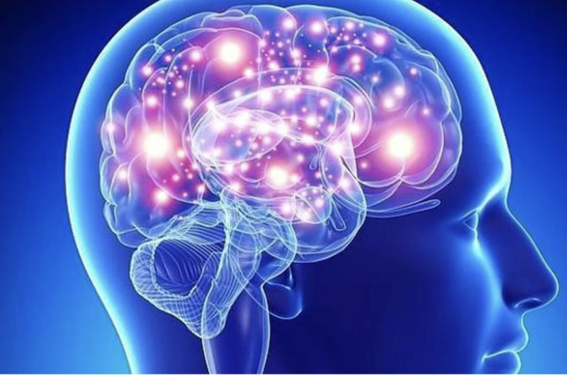 El cerebro humano utiliza pequeños daños como dosis protectora para prevenir afectaciones mayores