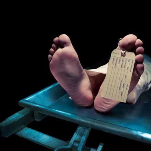 Dos jóvenes mueren en accidente de tránsito en la carretera Consuelo-Hato Mayor