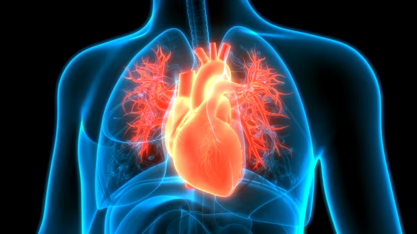 Descubren cรณmo la hipertensiรณn arterial incrementa el riesgo al daรฑo cardรญaco causado por un fรกrmaco oncolรณgico Descubren cรณmo la hipertensiรณn arterial incrementa el riesgo al daรฑo cardรญaco causado por un fรกrmaco oncolรณgico